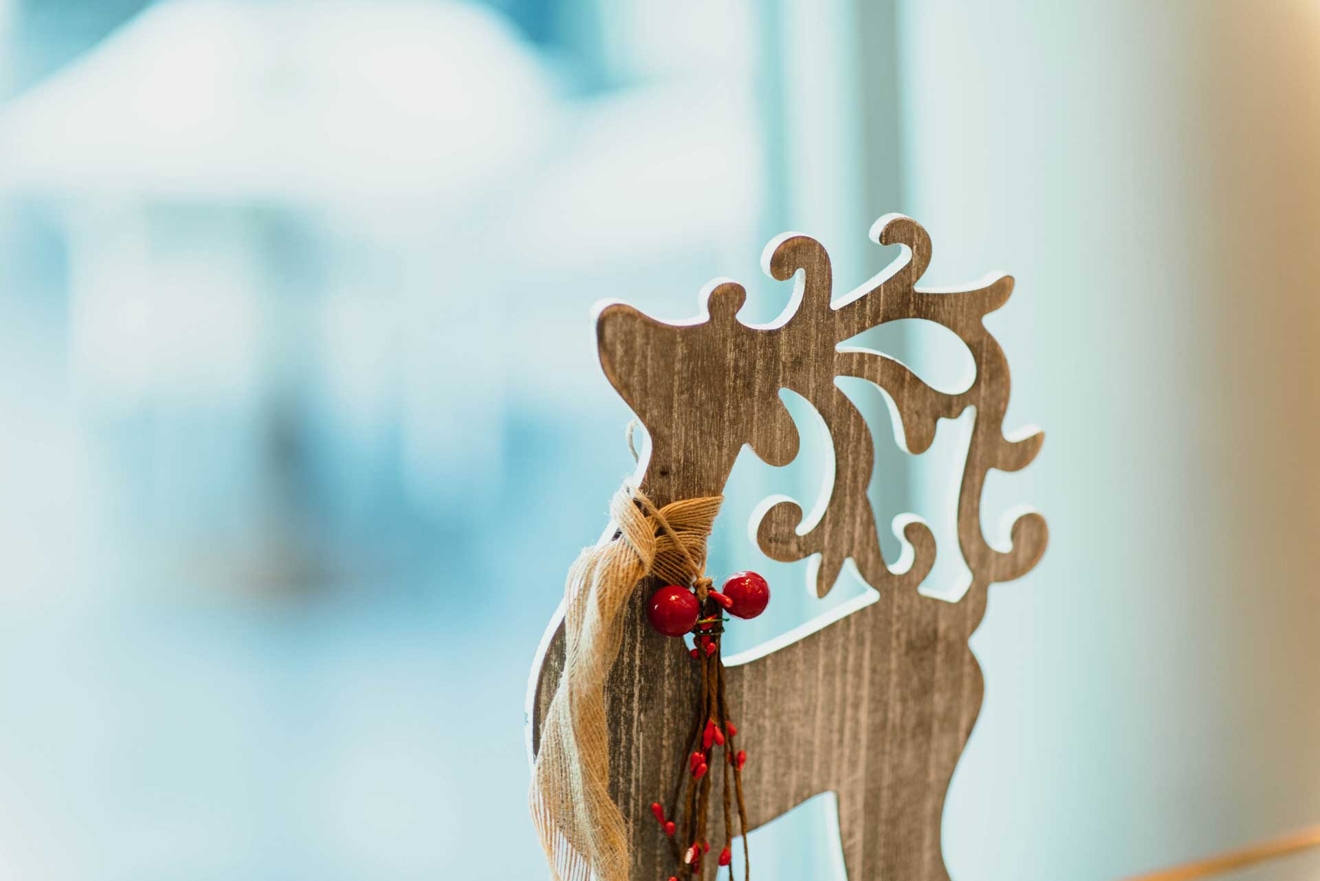 Christmas Raindeer
